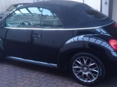 VW Beetle