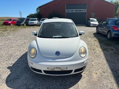 VW Beetle