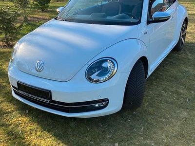 Gebraucht VW Beetle Allstar 105 PS (77 kW) 2017 Weiß Kleinwagen