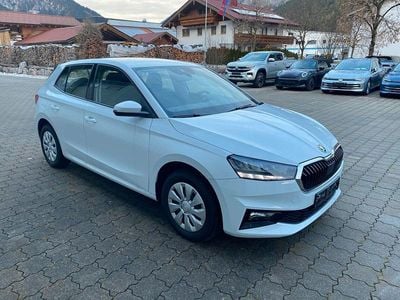 Grau Gebraucht 2024 Skoda Fabia Selection Kleinwagen | 18.400 € (Guter Preis)