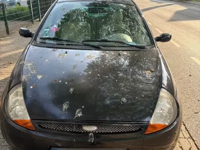 Używany Ford Ka