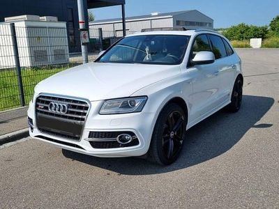 Gebraucht Audi SQ5 Sport 313 PS (230 kW) 2014 Weiß SUV