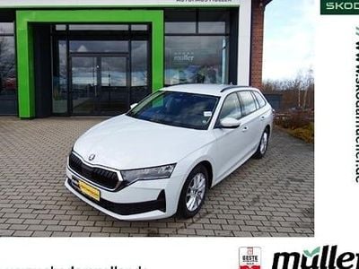 Gebraucht Skoda Octavia Essence 116 PS (85 kW) 2025 Weiß (moonweiss perleffekt) Kombi