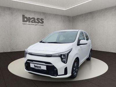 Neu Kia Picanto Vision 68 PS (50 kW) 2026 Schneeweiss Kleinwagen