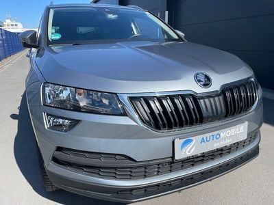 Grau Gebraucht 2019 Skoda Karoq Style SUV | 15.990 € (Etwas zu teuer)