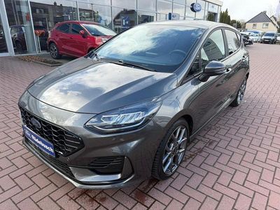 Gebraucht Ford Fiesta ST-Line 101 PS (74 kW) 2023 Grau Kleinwagen