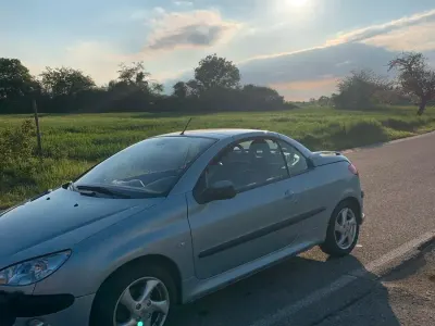 Gebraucht Peugeot 206 CC 109 PS (80 kW) 2002 Grau Cabrio