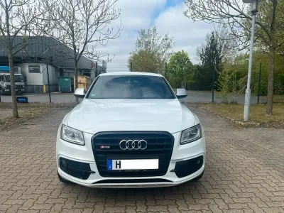 Brugt Audi SQ5 Competition 326 HK (239 kW) 2017 Hvid SUV