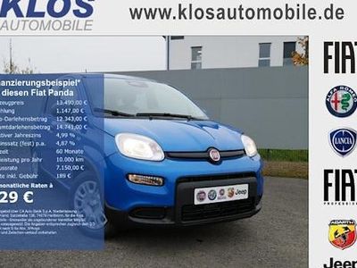 Blau Gebraucht 2024 Fiat Panda Kleinwagen | 13.490 € (Fairer Preis)