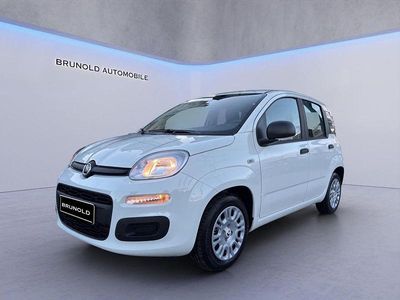 Nouă Fiat Panda Icon 69 CP (50 kW) 2025 Alb Hatchback