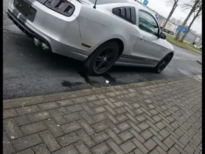 Gebraucht Ford Mustang