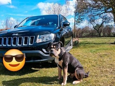 Używany Jeep Compass 156 KM (114 kW) 2013 Czarny SUV