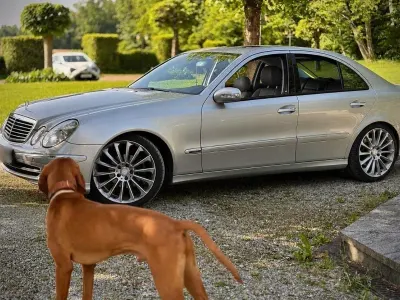 Gebraucht Mercedes E320 Avantgarde 224 PS (164 kW) 2004 Silber Limousine