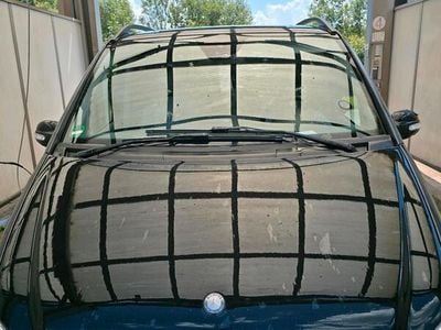 Mercedes Viano