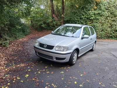 VW Polo