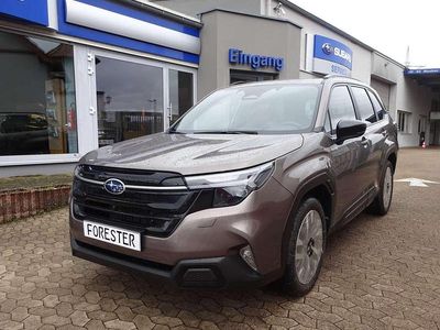 Neu Subaru Forester Platinum 136 PS (100 kW) 2026 Brillant bronze SUV