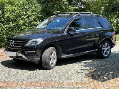 Mercedes ML250