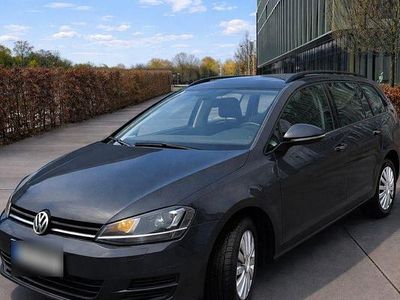 Gebraucht VW Golf VII Trendline 150 PS (110 kW) 2014 Grau Kombi
