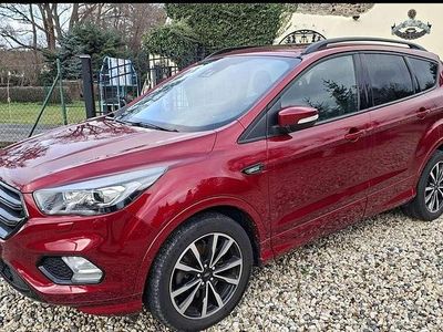 Usata Ford Kuga ST-Line 175 CV (128 kW) 2019 Rosso SUV