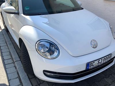 VW Beetle