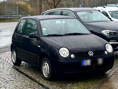 gebraucht VW Lupo Princeton 1.4 MPI Klima NAVI KAMERA 8-fach bereift