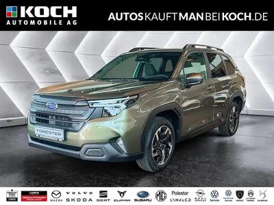 Nouă Subaru Forester Exclusive+ 150 CP (110 kW) 2025 Verde SUV