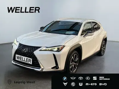 Brugt Lexus UX 250h 184 HK (135 kW) 2023 Hvid SUV