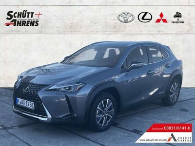 Lexus UX 300e