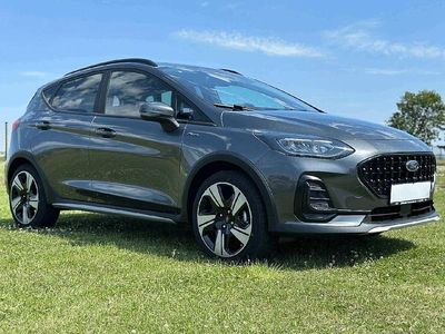 Gebraucht Ford Fiesta Active 125 PS (91 kW) 2023 Grau Kleinwagen