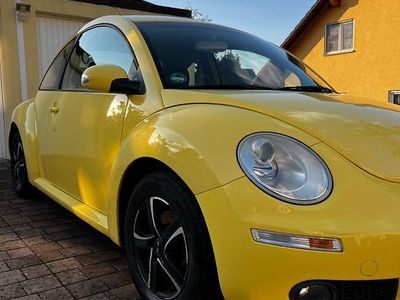 VW Beetle