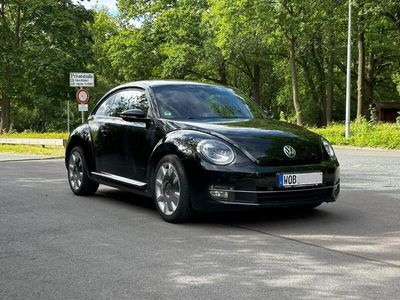 VW Beetle