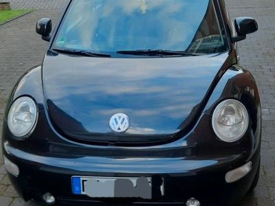 gebraucht VW Beetle New