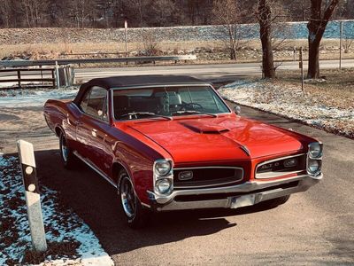 gebraucht Pontiac GTO 1966 Convertible