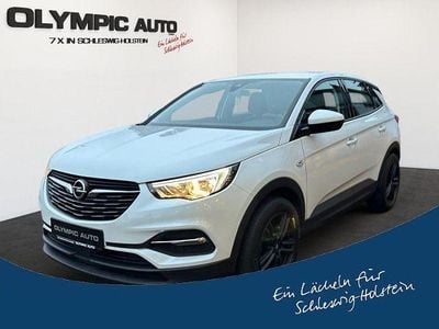Weiß Gebraucht 2019 Opel Grandland X SUV | 14.990 € (Guter Preis)