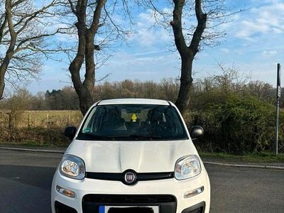 Second-hand Fiat Panda 70 CP (51 kW) 2021 Alb Hatchback