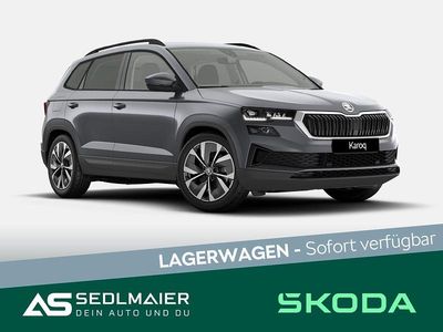Graphitegrau Neu 2025 Skoda Karoq Tour SUV | 35.290 € (Guter Preis)