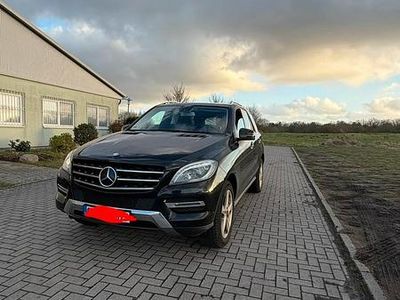 Gebraucht Mercedes ML250 204 PS (150 kW) 2013 Schwarz SUV