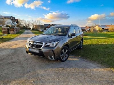 Usata Subaru Forester Sport 241 CV (177 kW) 2019 Marrone SUV