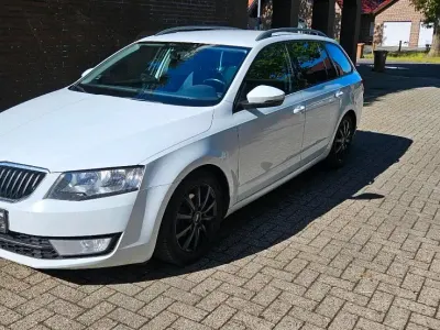 Gebraucht Skoda Octavia 110 PS (80 kW) 2016 Weiß Kombi
