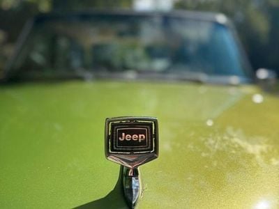 Gebraucht Jeep Wagoneer 173 PS (127 kW) 1972 Grün SUV