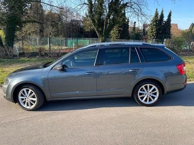 Gebraucht Skoda Octavia Joy 150 PS (110 kW) 2016 Grau Kleinwagen