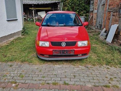 VW Polo