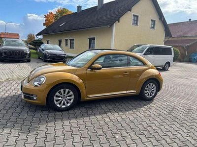 VW Beetle
