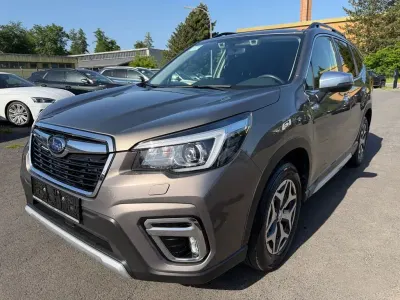 Usado Subaru Forester