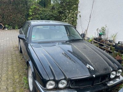 gebraucht Jaguar XJR 