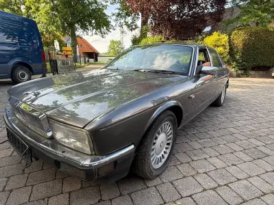 Gebraucht Jaguar XJ40 185 PS (136 kW) 1987 Grau Limousine