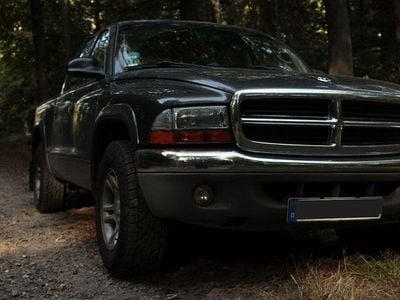 Gebraucht Dodge Dakota 239 PS (175 kW) 2004 Grau Abholung