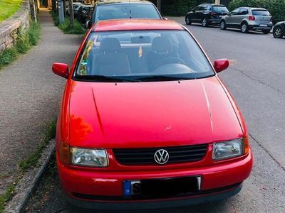 VW Polo