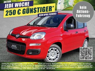 Gebraucht Fiat Panda 69 PS (50 kW) 2025 Passione rot Limousine