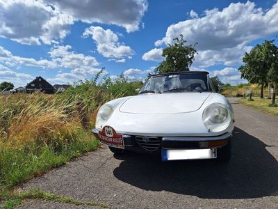 gebraucht Alfa Romeo 2000 Spider